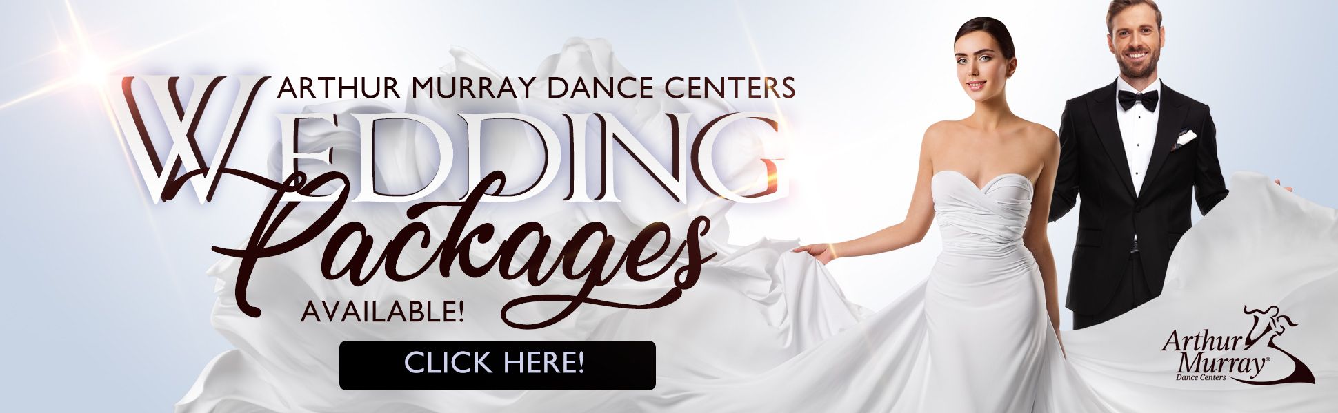 Arthur Murray Chicago Wedding Dane Lessons